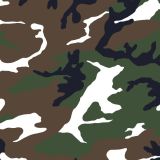 M81-White-Woodland-Camo-thumb.jpg