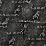 Mack-Truck-25.jpg