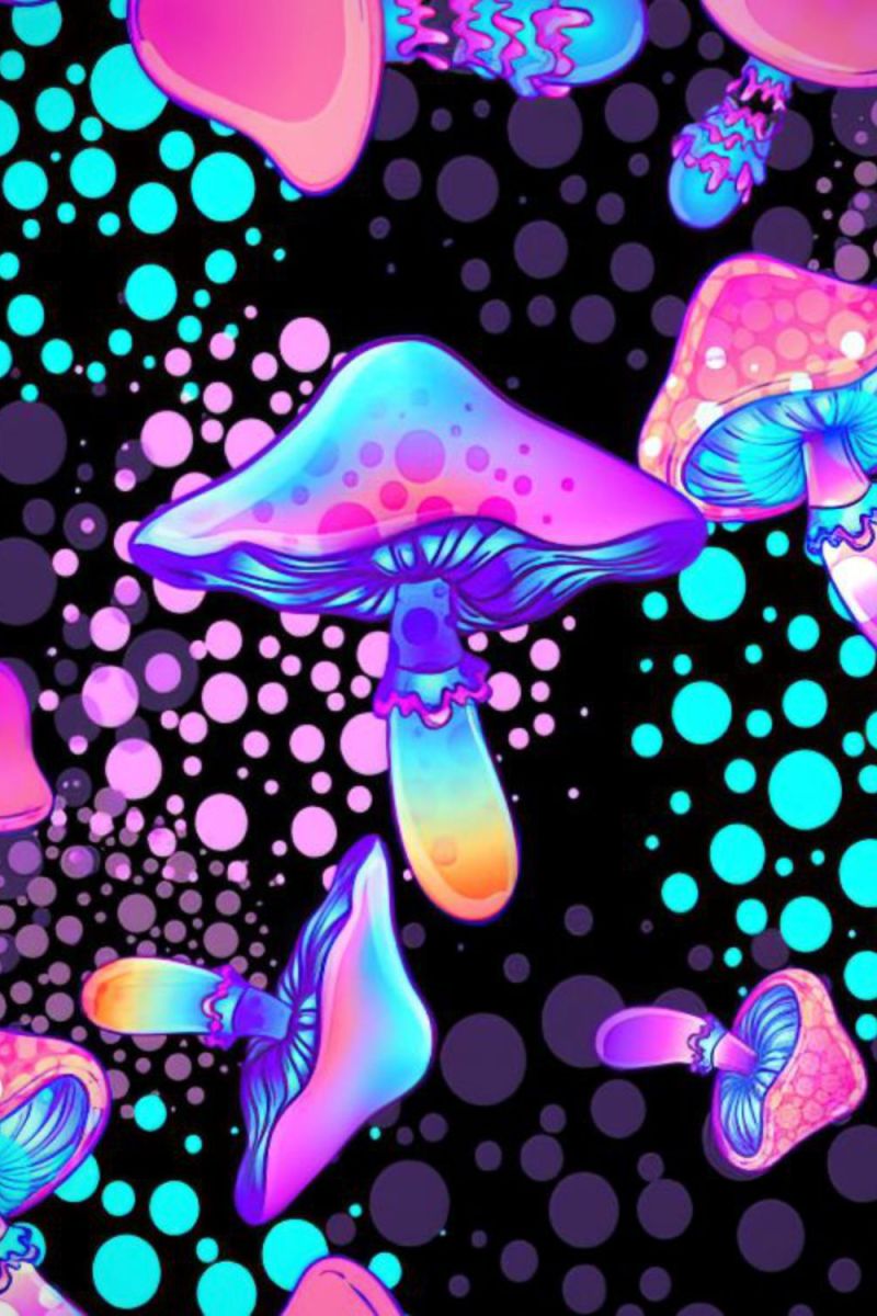 Magic Mushroom 23