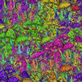 Magic-Mushrooms-23.jpg