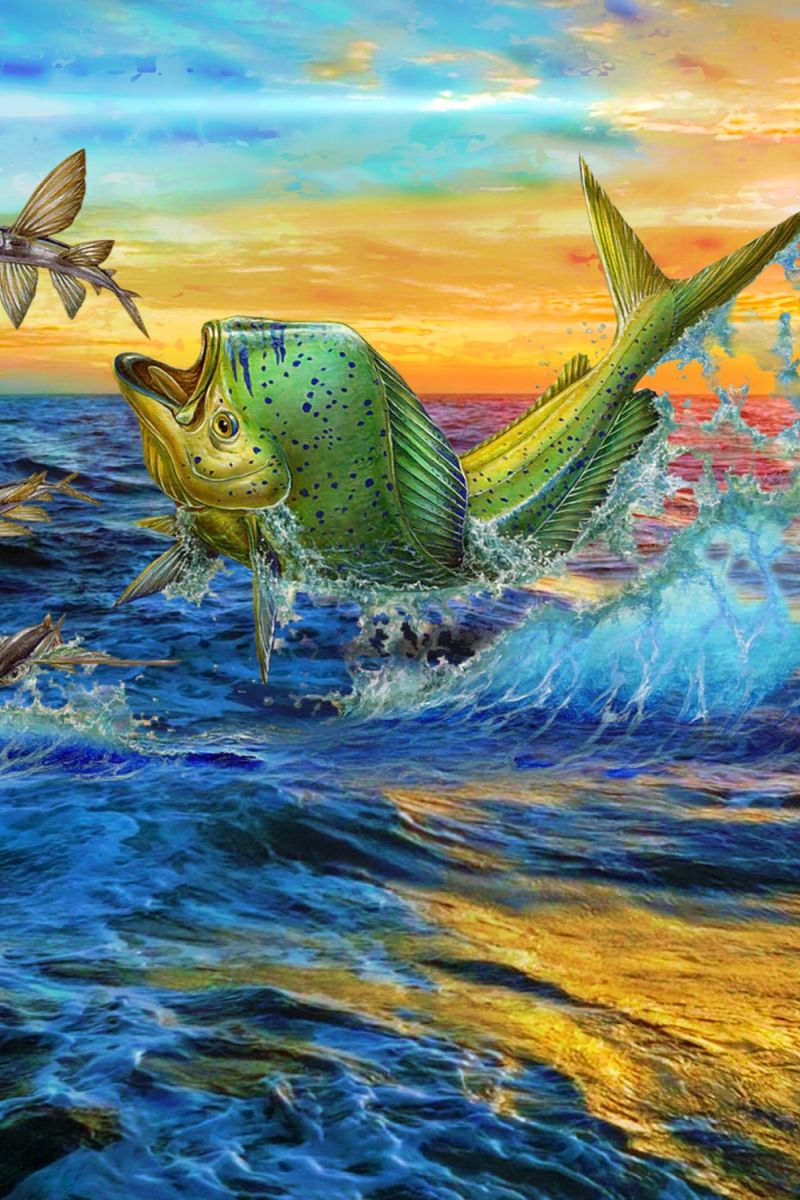 Mahi 22