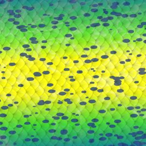 Mahi Skin Scales