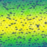 Mahi-Skin-Scales-thumb.jpg