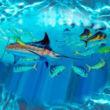 Mahi-Tuna-Brandt.jpg