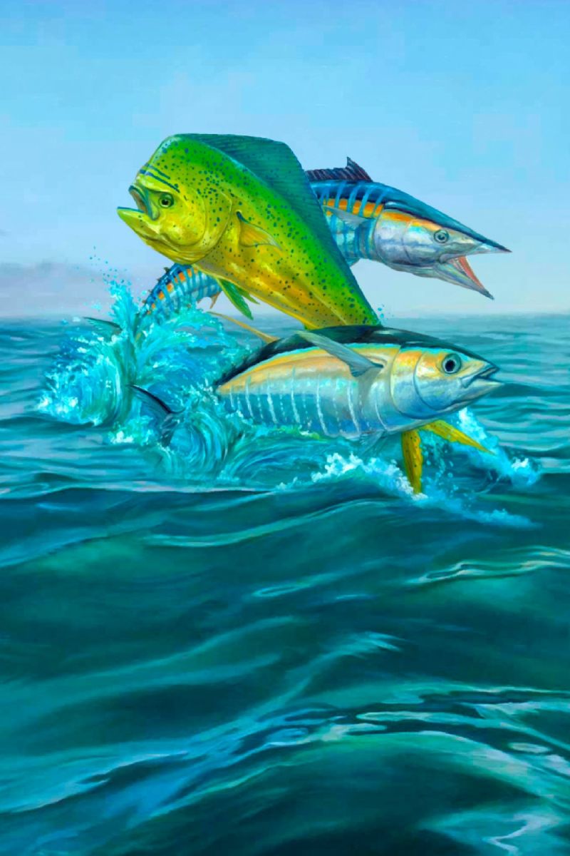 Mahi Tuna Wahoo 11×16
