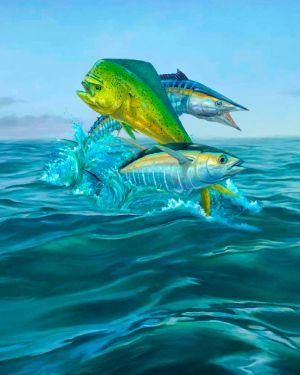 Mahi Tuna Wahoo 11×16
