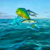 Mahi-Tuna-Wahoo-11x16-1.jpg
