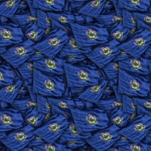 Maine State Flag