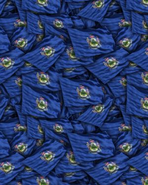 Maine State Flag