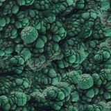 Malachite-23-thumb.jpg