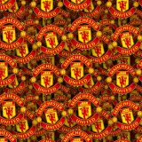 Manchester-United-FC-22.jpg