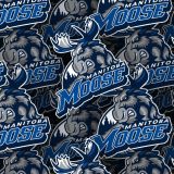 Manitoba-Moose-22.jpg
