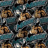 Manitoba-Moose-24.jpg