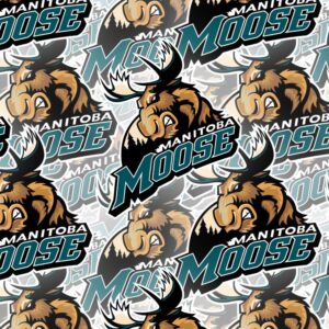 Manitoba Moose 25