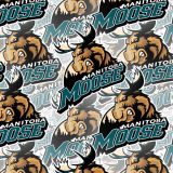 Manitoba-Moose-25.jpg