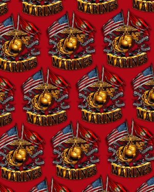 Marine Crossed Flags 23