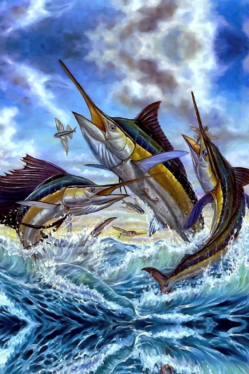 Marlin Flying Fish 11×16