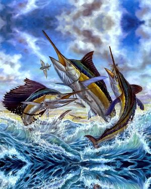 Marlin Flying Fish 11×16