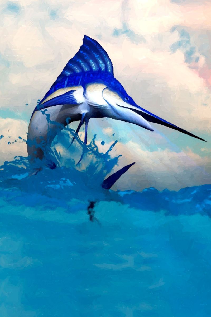 Marlin Jumping 22