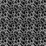 Marrow-Under-the-Microscope-21.jpg