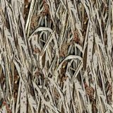 Marsh-Blind-thumb.jpg