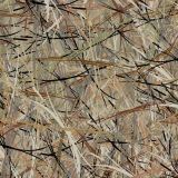Marsh-Cattails-Camo-thumb.jpg