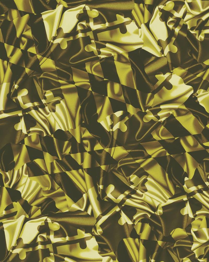 Maryland Camouflage