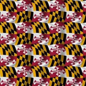 Maryland Flag 22