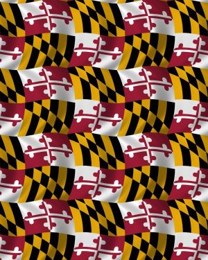Maryland Flag 22