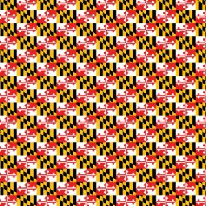 Maryland Flag 23