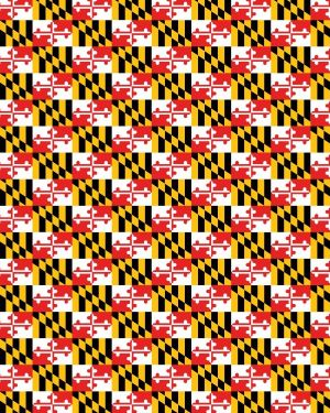 Maryland Flag 23