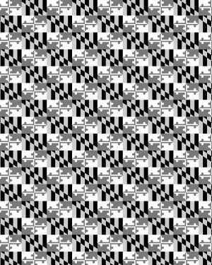 Maryland Flag 24