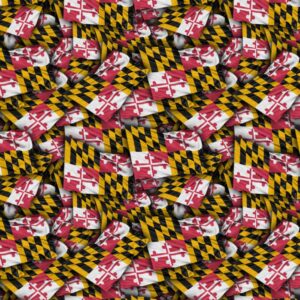 Maryland State Flag