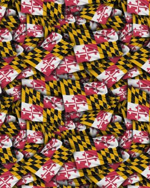 Maryland State Flag