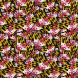 Maryland-State-Flag.jpg
