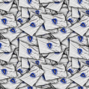 Massachusetts State Flag