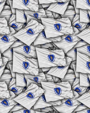 Massachusetts State Flag