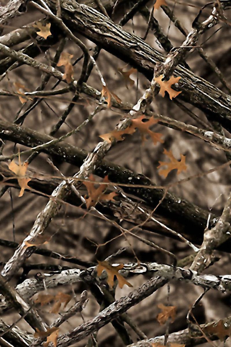 Mathews Lost Camo XD