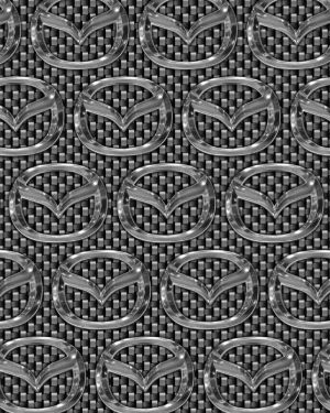 Mazda Carbon Fiber