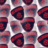 Melbourne-FC.jpg