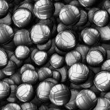 Metal-Volleyballs-.jpg