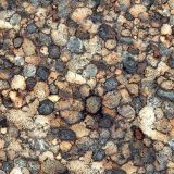 Meteoric-Chondrules-thumb.jpg