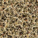 Meteoric-Cronos-Camo-thumb.jpg