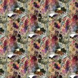 Meteorite-24.jpg