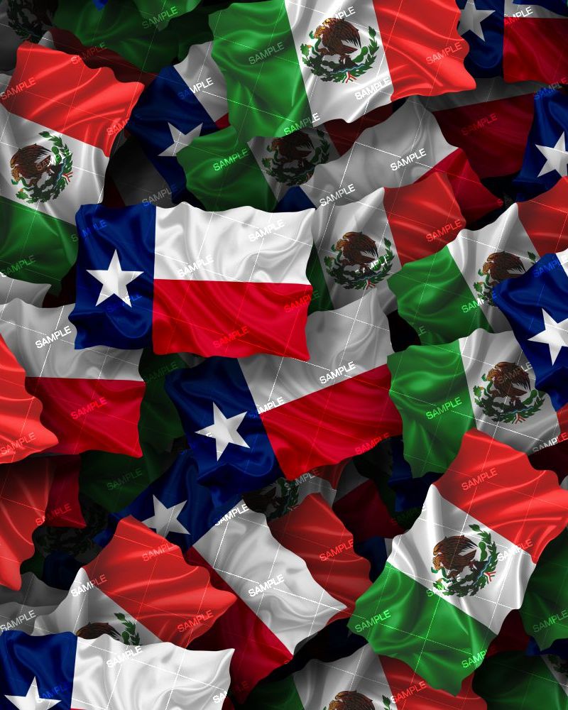 Mexico and Texas Flags