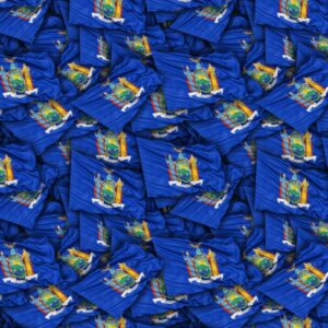 Michigan State Flag