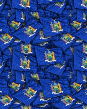 Michigan State Flag
