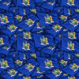 Michigan-State-Flag.jpg