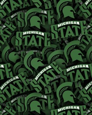 Michigan State University 22