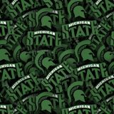 Michigan-State-University-22.jpg